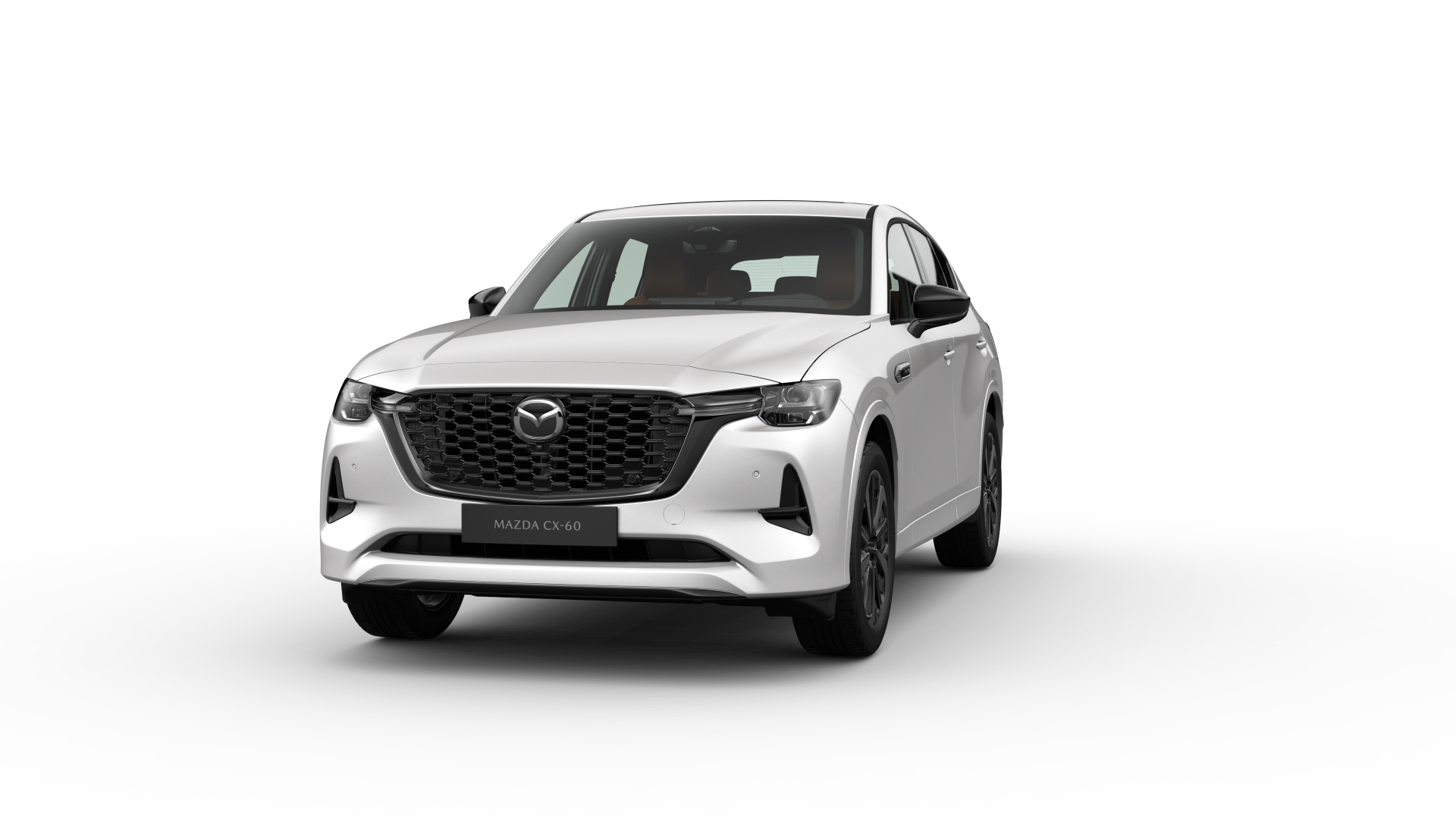 Rhodium White - Frame 19